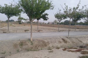 La parcela para la Ciudad Deportiva sigue igual.