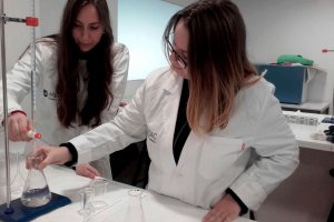 Las clases son dinámicas e interactivas.