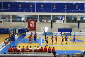 Ecoculture-Marbella.