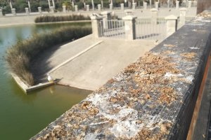 Imagen en la que se pueden apreciar la suciedad generada por los patos en las proximidades del lago.