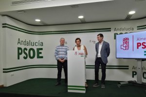Parlamentarios nacionales del PSOE.