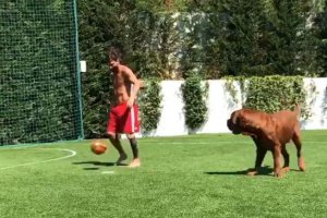 Messi jugando con su perro.