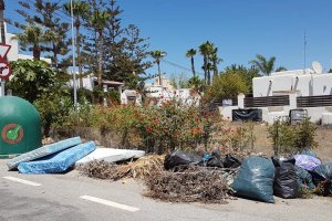 Enseres y poda junto a un contenedor de vidrio en la zona costera de Vera.
