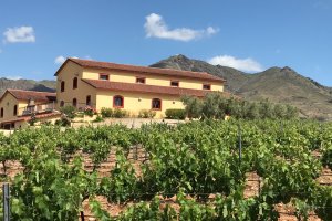 Imagen de la casa rural, con un peculiar estilo masía, donde se ubica la sede central de Bodegas Perfer, que exporta sus vinos a más de veinte países.