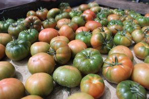 Las exportaciones a Reino Unido han vuelto a crecer.