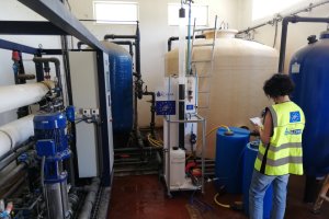 Imagen de una de las investigadoras durante el trabajo de campo realizado con la planta a escala de laboratorio.