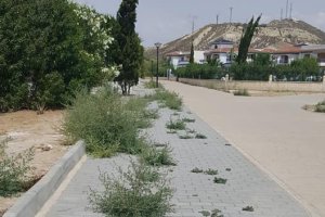 La maleza  crece salvaje en las aceras y calles de la costa de Vera.