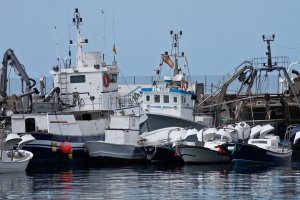 Se busca aumentar la presencia femenina en el sector