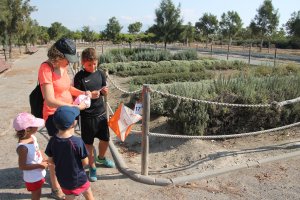 La actividad ha sido un éxito.