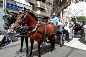 Carruajes por el Paseo de Almería.