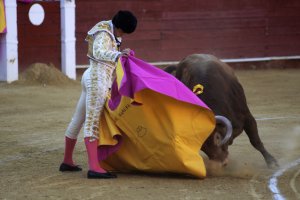 Ruiz  Manuel, toreando de capote a su primer toro.