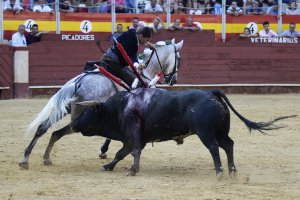 La joven amazona francesa se ganó al público por la viveza de su monta y su resolución mostrada en sus dos actuaciones.