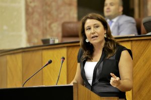 Carmen Crespo, diputada y portavoz del PP en el Parlamento andaluz, durante una intervención.
