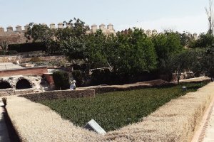Imagen de Amigos de la Alcazaba del monumento.