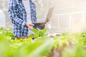 El PP critica las demoras en las ayudas a la modernización, que en algunos casos se prolongan hasta más de año y medio.