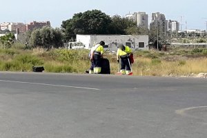 Trabajadores del plan limpiando el arcén de una vía