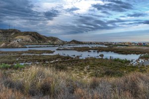 El Salar de los Canos de Vera.