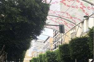 Retirada de los toldos de Feria.