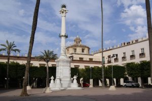 La Junta afirma que se tienen que mantener los árboles de la Plaza Vieja.