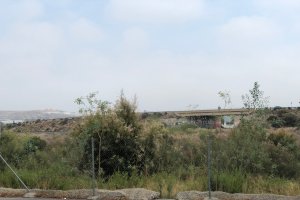 Este solar tiene abierto un expediente por no cumplir la ley de limpieza y desbroce.