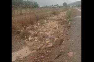 Captura del vídeo de una de las ramblas en Berja. Foto: Serbal.