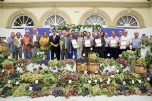 El bodegón con las 60 variedades de uva de mesa y los parraleros homenajeados.