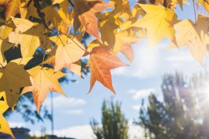 El otoño sorprende con temperaturas más propias del verano.