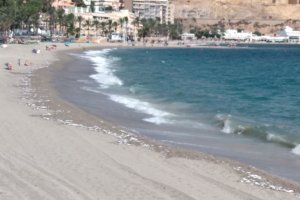 Peces muertos repartidos a lo largo de la playa de Aguadulce.