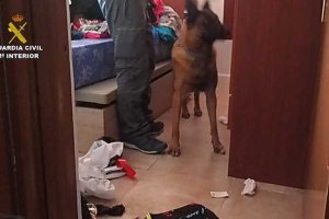 Imagen del registro de la vivienda por parte de la Guardia Civil.