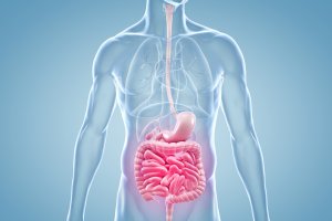 El Olympus 190 une en una misma herramienta un endoscopio y un ecógrafo.