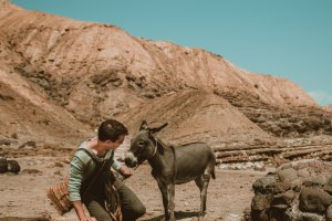 \'Domesticado’, corto dirigido por Juan F. Viruega.