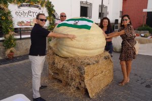 Visitantes con la calabaza más grande de Andalucía: pesa 432 kilos.