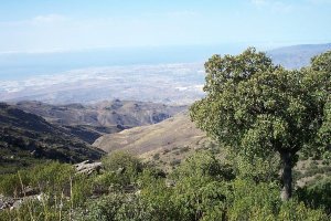sierra Alhamilla es una de las zonas a las que se han levantado las limitaciones.