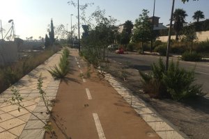 La meleza invade el carril bici y la carretera en la zona de Vera Playa.