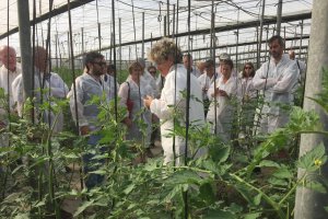 Visita de los investigadores europeos a la finca de Clisol Agro