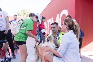 Actividad desarrollada ayer en el Centro Zoosanitario.