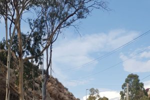 Trabajos de mejora en Castell del Rey.