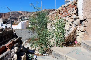 Los solares  convertidos en basureros se extienden por el sur a lo largo de la fachada del nuevo edificio.