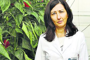 Marisa Gallardo, Investigadora de la UAL.