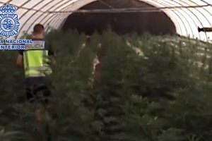 Imágenes de la actuación policial.