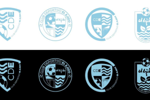 Los escudos para la votación.