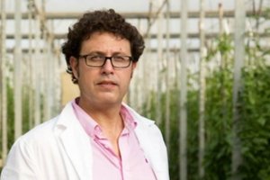 Luis Martín, responsable hortícolas de Syngenta.