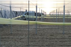 Equipos de calefacción en invernaderos.