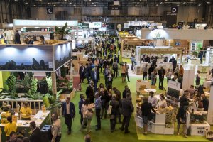 Fruit Attraction alcanza este año cifras record en expositores, 1.300, y visitantes. Se espera que lleguen a ser 70.000.