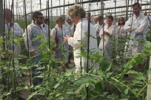 Investigadores europeos durante la visita a los invernaderos de Clisol Agro.
