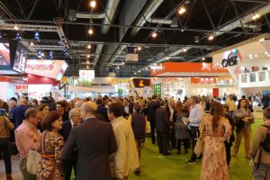 Intensa actividad desde el primer momento.