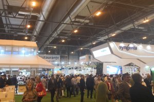 Las calles del recinto y los stands de las empresas están a rebosar en esta segunda jornada.