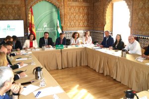 Cumbre de administraciones y miembros del comité de Empresa celebrada ayer en Almería sobre Cemex.