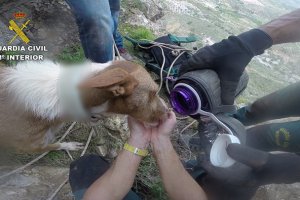 El perro bebe agua de las manos de uno de los agentes.