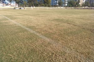 Aspecto del campo de la Vega este martes.